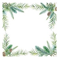 Pine leaves square border backgrounds pattern wreath.