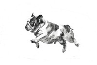 Monochromatic bulldog jumping drawing animal mammal.