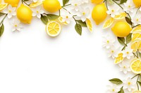 Lemon floral border flower lemon backgrounds.