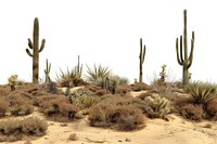 Nature landscape outdoors desert.