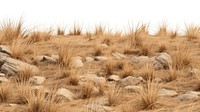 PNG Hilly dry grass fields rock backgrounds landscape.