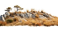 PNG Hilly dry grass fields rock wilderness landscape.