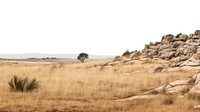 Rocky hilly dry grassfields landscape outdoors nature.