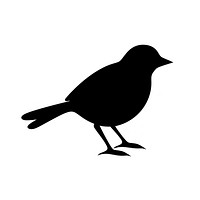 Bird logo icon silhouette blackbird animal.