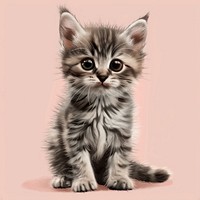 Cartoon of kitten mammal animal cute.