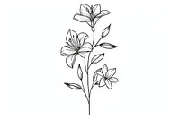 Divider doodle lily pattern drawing flower.