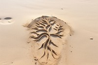 Tree doodle finger-drawing footprint sand tranquility.