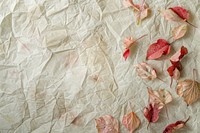 Fibres textured mulberry paper backgrounds petal.