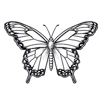 Illustration of a stunning butterfly sketch cartoon drawing.