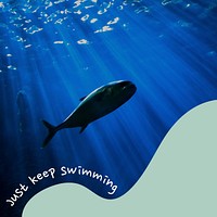 Keep swimming Instagram post 