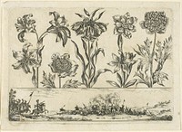 Flowers and Battle Scene, from Livre Nouveau de Fleurs... by Nicolas Cochin