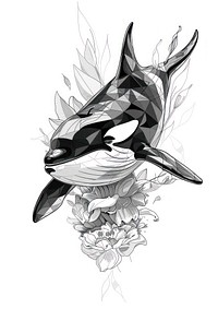 Killer whale illustrated drawing sketch.