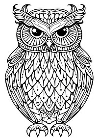 Owl illustrated drawing doodle.