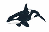Whale orca animal mammal shark.