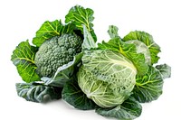 Cabbages vegetable produce plant.