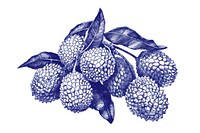 Vintage drawing lychee fruits illustrated annonaceae pineapple.
