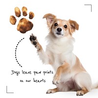 Pet quote Instagram post template