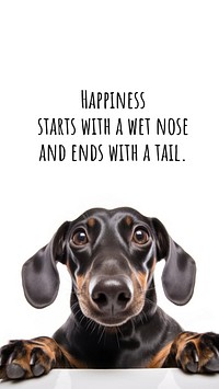 Pet  quote Facebook story template