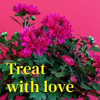 Treat with love quote Instagram post template