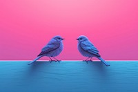A couple bird animal purple nature.
