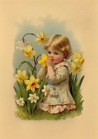Vintage spring postcard photography asteraceae portrait.