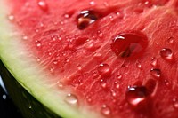 Watermelon fruit plant food.