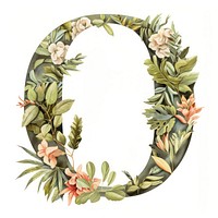 The letter O wreath plant white background.