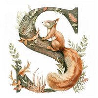 The letter S squirrel drawing animal.