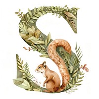 The letter S squirrel animal mammal.