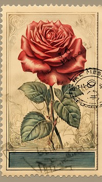 Vintage stamps rose blossom flower.