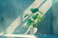 Ai plant windowsill leaf potted plant.