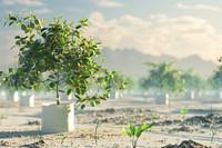 Artificial intelligence Farm nature vegetation shoreline.