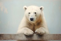 Close up on pale sitting bear wildlife animal mammal.