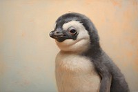 Close up on pale baby penguin animal bird.