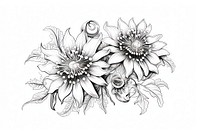 Passion flower illustrated graphics drawing.