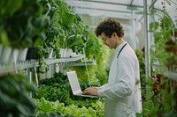 Male farmer using laptop vegetable male electronics.