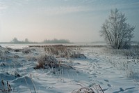 Siberia landscape in winter outdoors scenery weather.