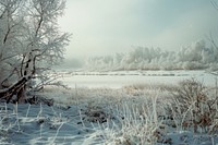 Siberia landscape in winter outdoors weather scenery.