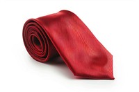 Fancy tie accessories accessory necktie.