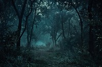 Spooky forest dark and mysterious night vegetation outdoors.