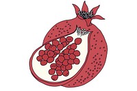 Pomegranate produce fruit plant.