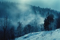 Landscape in winter vegetation outdoors woodland.