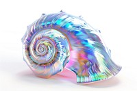 Shell animal spiral conch.
