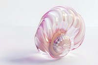 Shell invertebrate seashell jewelry.