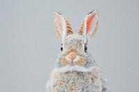 Rabbit in embroidery style animal rodent mammal.
