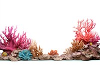 Ocean border invertebrate aquarium outdoors.