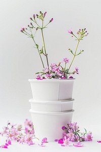 Paper cup mockup flower cookware geranium.