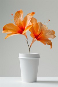 Paper cup mockup flower blossom pottery.