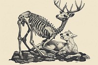 Skeleton with deer skeleton animal mammal representation.