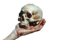 Hand holding skull painting adult white background.